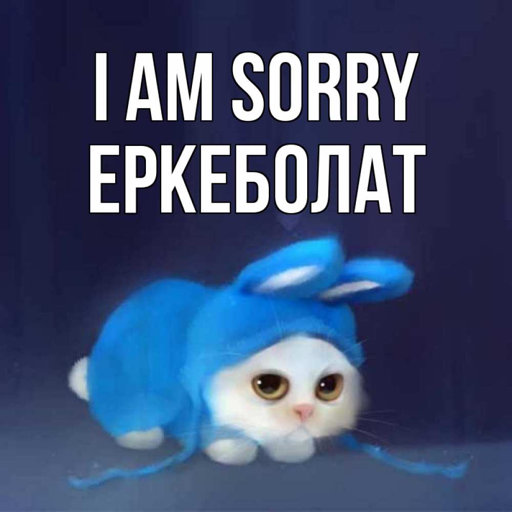 Greetings card с именем, Еркеболат I am sorry невинный котозай просит прощения Greetings with text for free download 