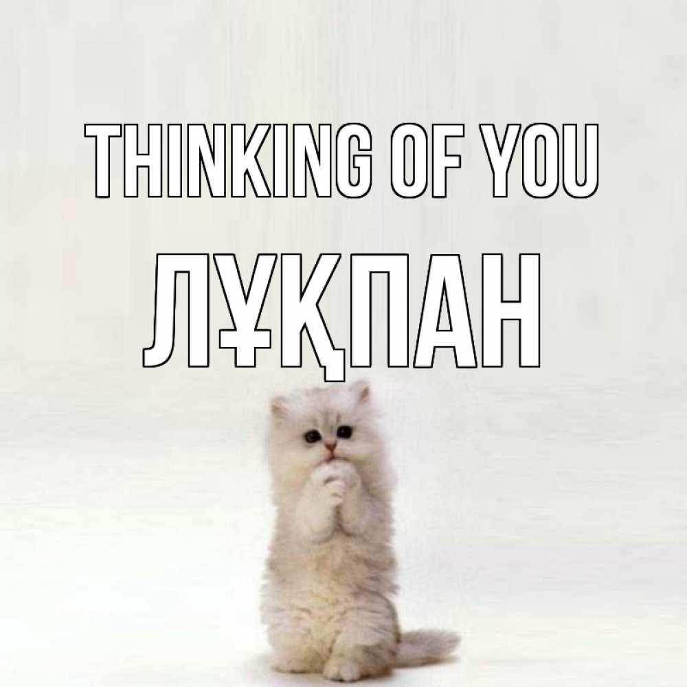 Greetings card с именем, ЛҰҚПАН Thinking of you кот стоит на задних лапах Greetings with text for free download 