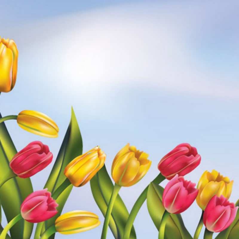 Открытка клипарт тюльпаны  международный женский день  happy women`s day 