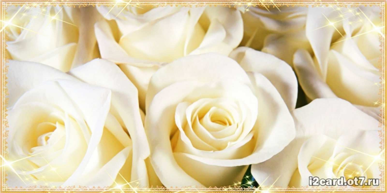 Открытка белые розы для родных людей розочки белого цвета на открытке Happy Birthday 