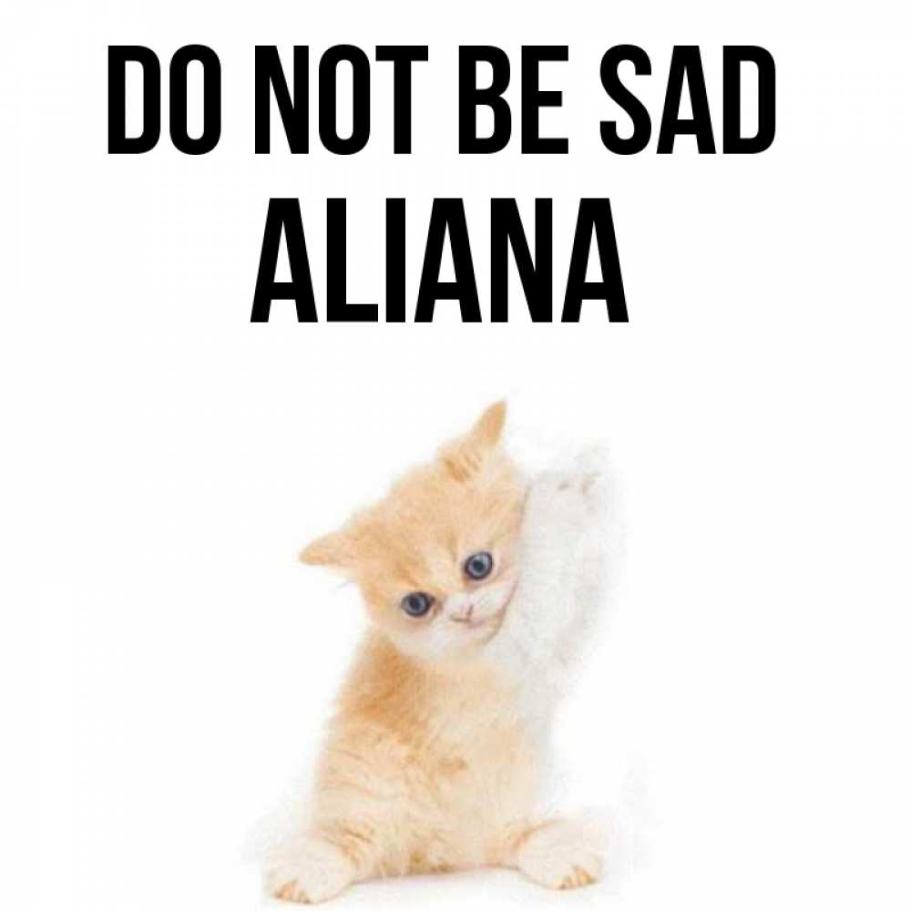 Greetings card с именем, Aliana Do not be sad просящий кот Greetings with text for free download 