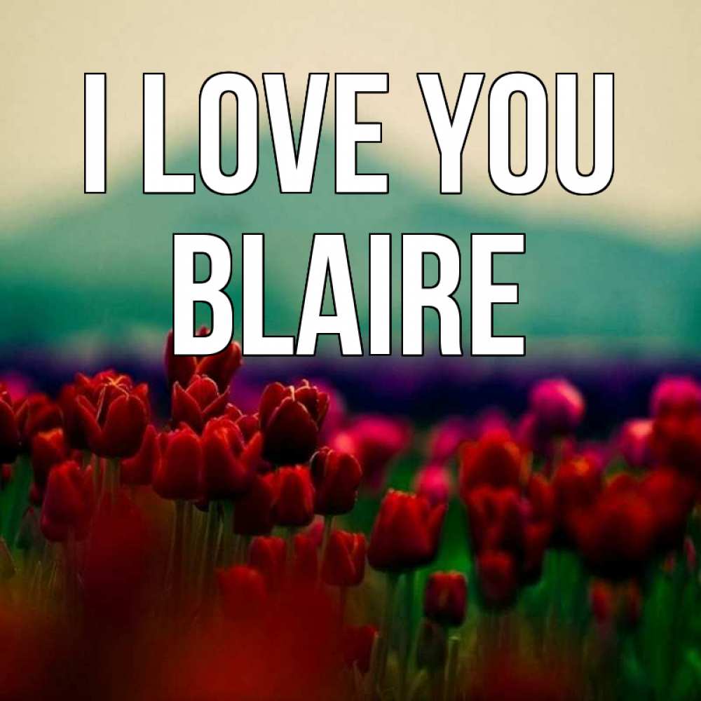 Greetings card с именем, Blaire I love you тюльпаны 4 Greetings with text for free download 