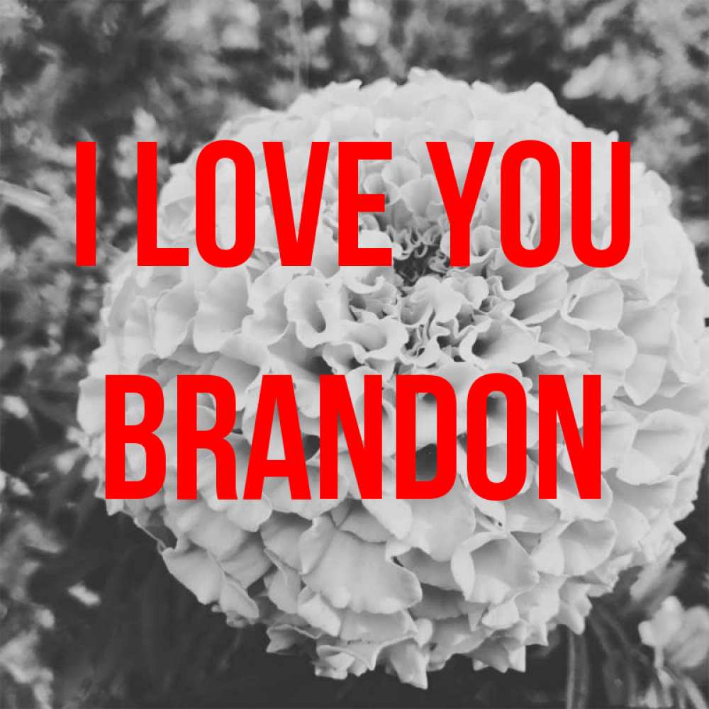Greetings card с именем, Brandon I love you подпись Greetings with text for free download 