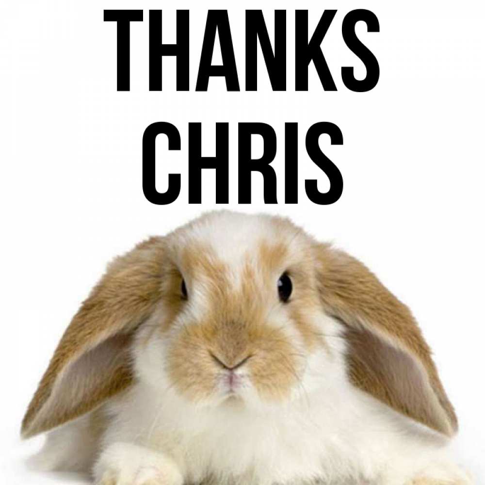 Greetings card с именем, Chris Thanks коричнево белый заяц Greetings with text for free download 