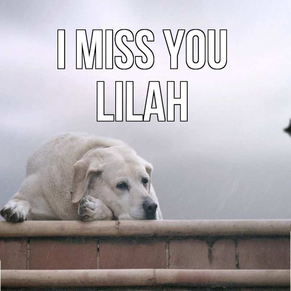 Greetings card с именем, Lilah I miss you ждет Greetings with text for free download 