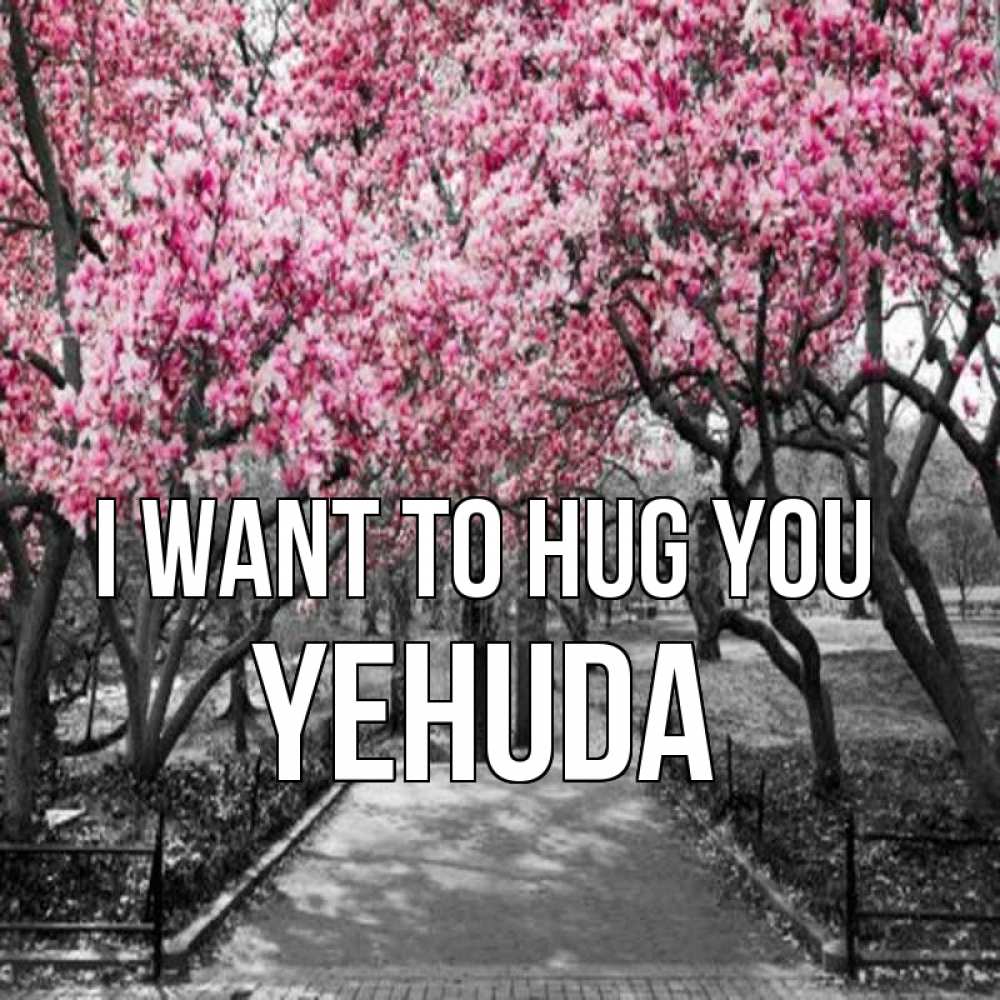 Greetings card с именем, Yehuda I want to hug you обработанное фото Greetings with text for free download 