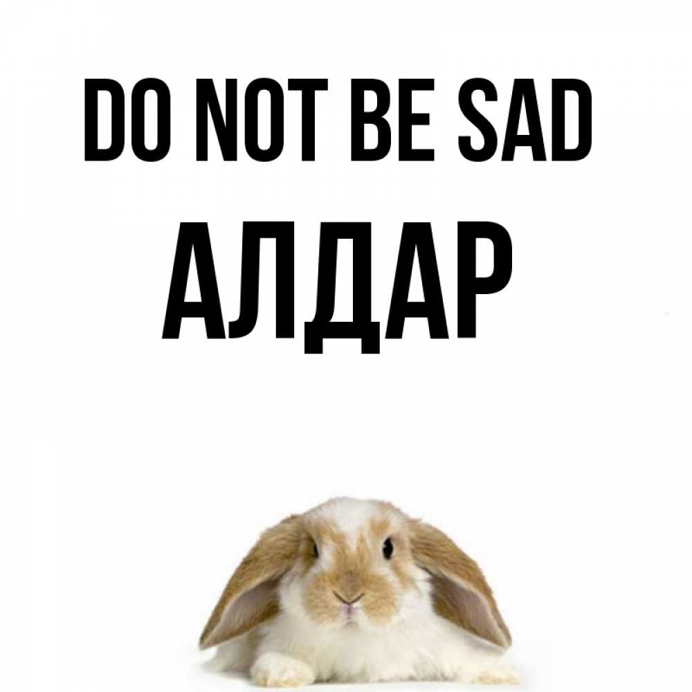 Greetings card с именем, Алдар Do not be sad коричнево белый заяц с большими ушками Greetings with text for free download 