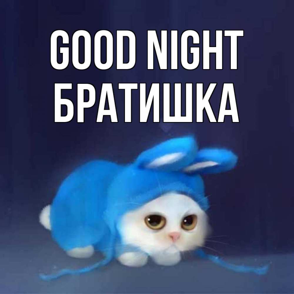 Greetings card с именем, Братишка Good night кот в голубом костюме кролика с ушками Greetings with text for free download 