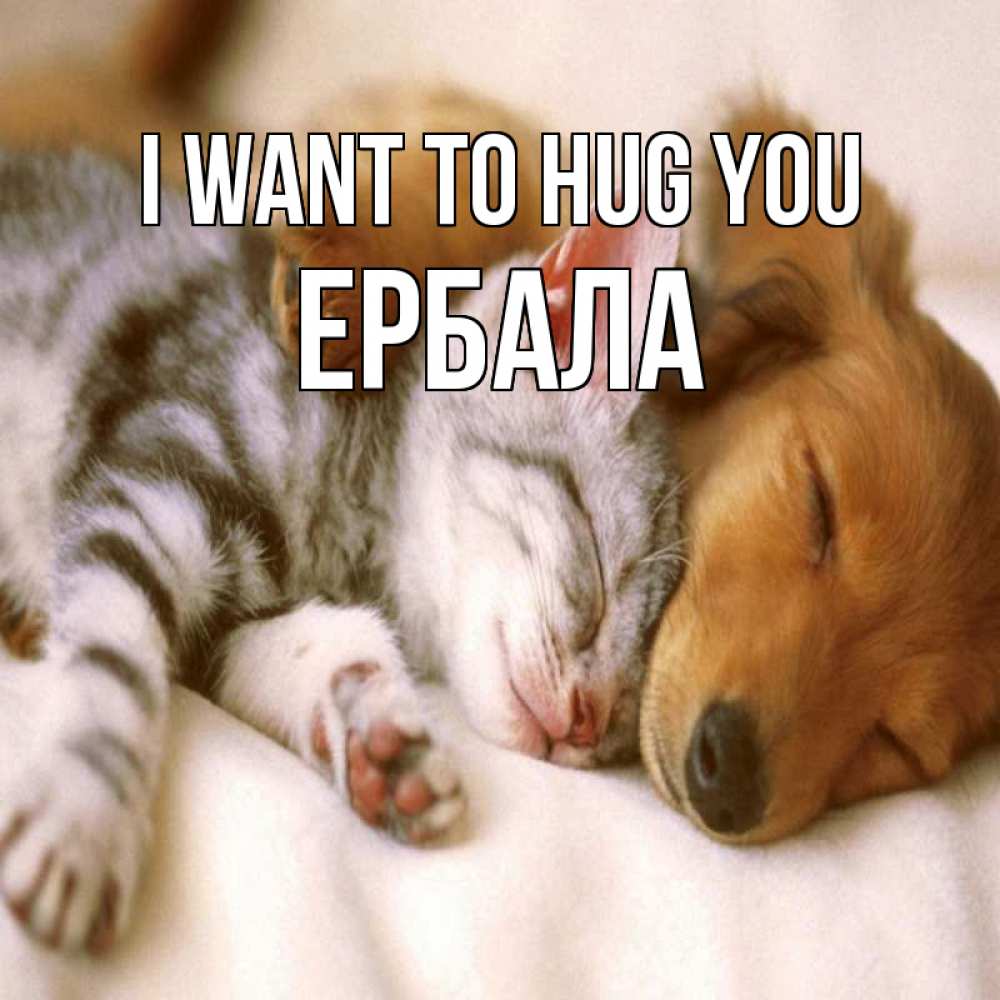 Greetings card с именем, Ербала I want to hug you пес и котенок Greetings with text for free download 