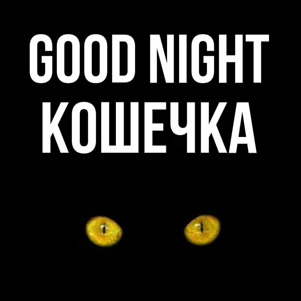 Greetings card с именем, Кошечка Good night сладких снов бесстрашный мой дружочек Greetings with text for free download 