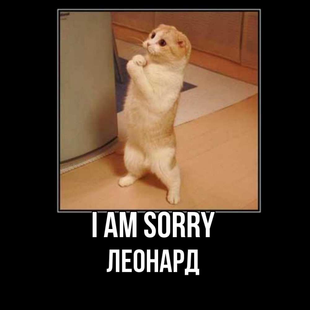 Greetings card с именем, Леонард I am sorry открытка с милым несчастным котиком просящим прощения Greetings with text for free download 