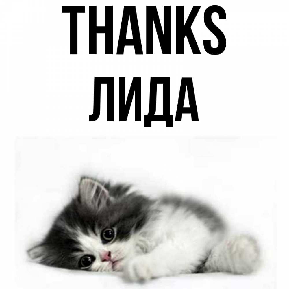 Greetings card с именем, Лида Thanks черный и белый кот Greetings with text for free download 