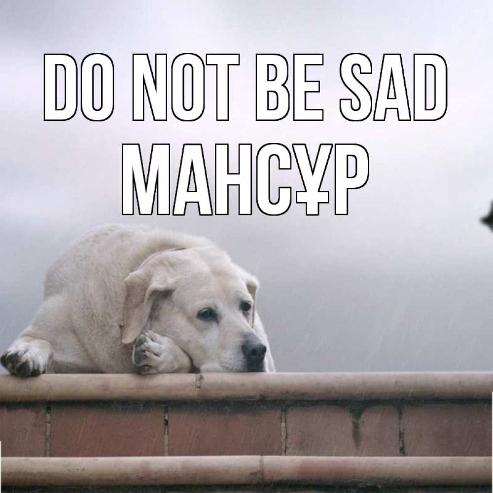 Greetings card с именем, МАНСҰР Do not be sad белый пес 1 Greetings with text for free download 