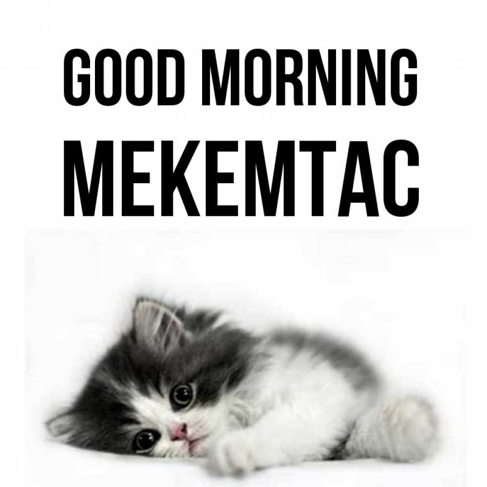 Greetings card с именем, МЕКЕМТАС Good morning кот лапки Greetings with text for free download 