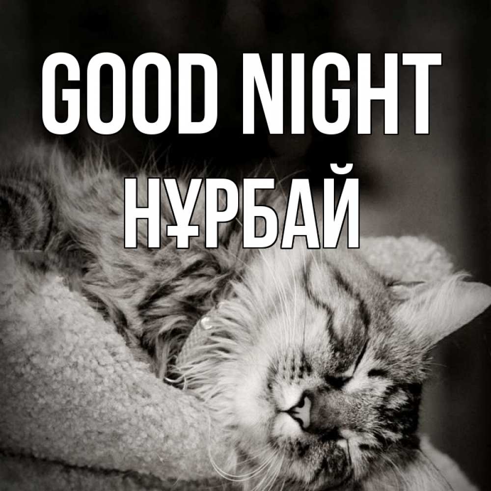 Greetings card с именем, НҰРБАЙ Good night котярик пушистый Greetings with text for free download 