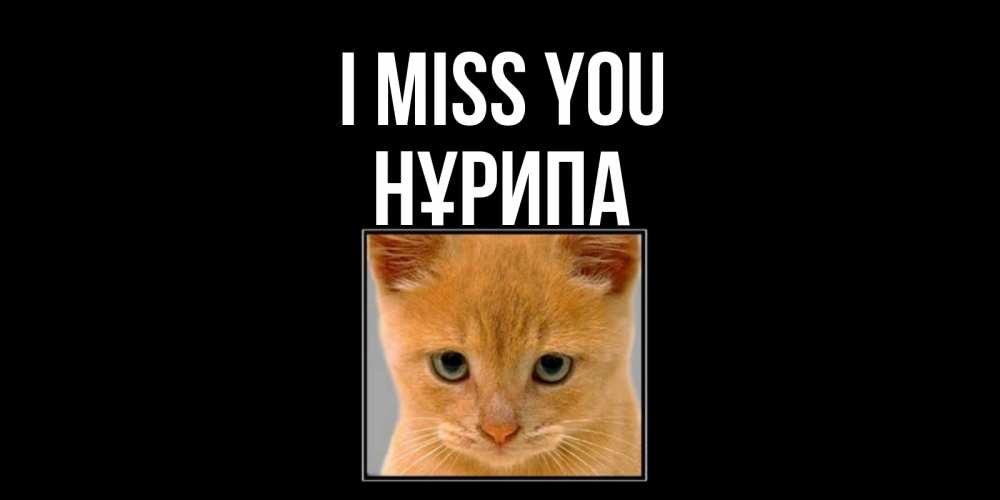 Greetings card с именем, НҰРИПА I miss you открытки рыжий котенок скучает по тебе Greetings with text for free download 