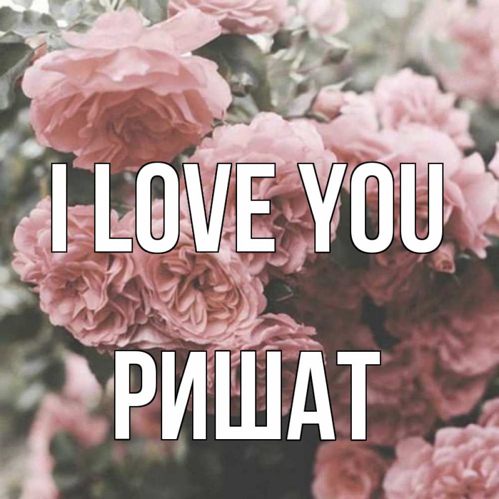 Greetings card с именем, РИШАТ I love you розы 3 Greetings with text for free download 