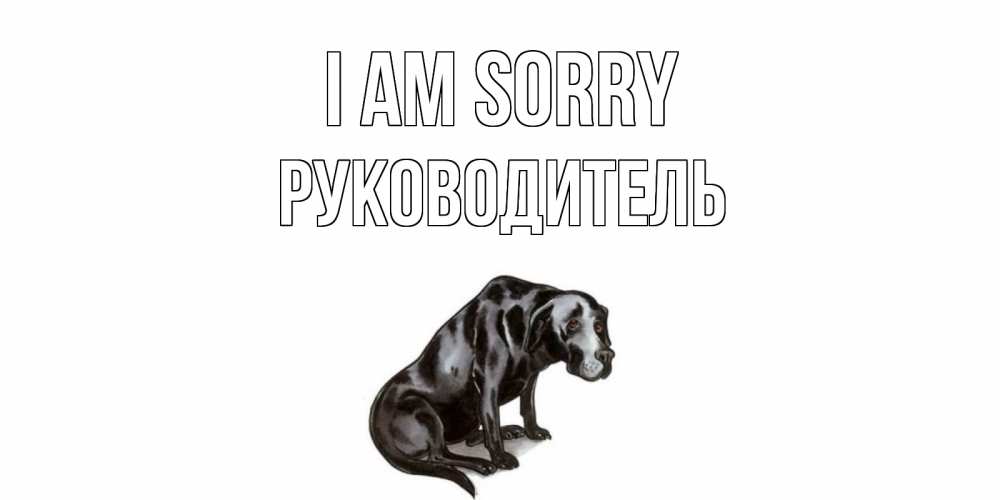 Greetings card с именем, Руководитель I am sorry грустная собака на открытке с подписью прости меня Greetings with text for free download 