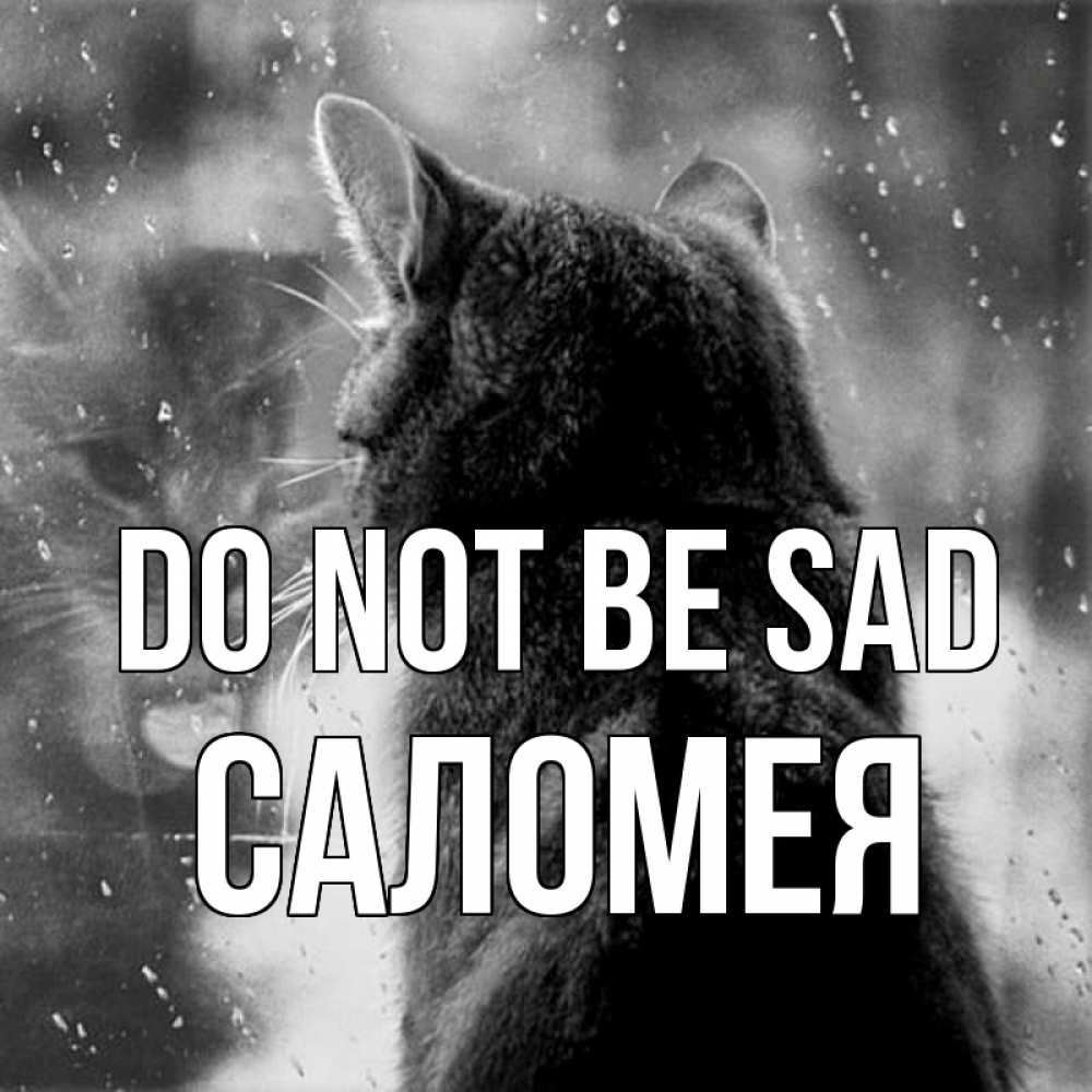 Greetings card с именем, Саломея Do not be sad отражение кота 1 Greetings with text for free download 