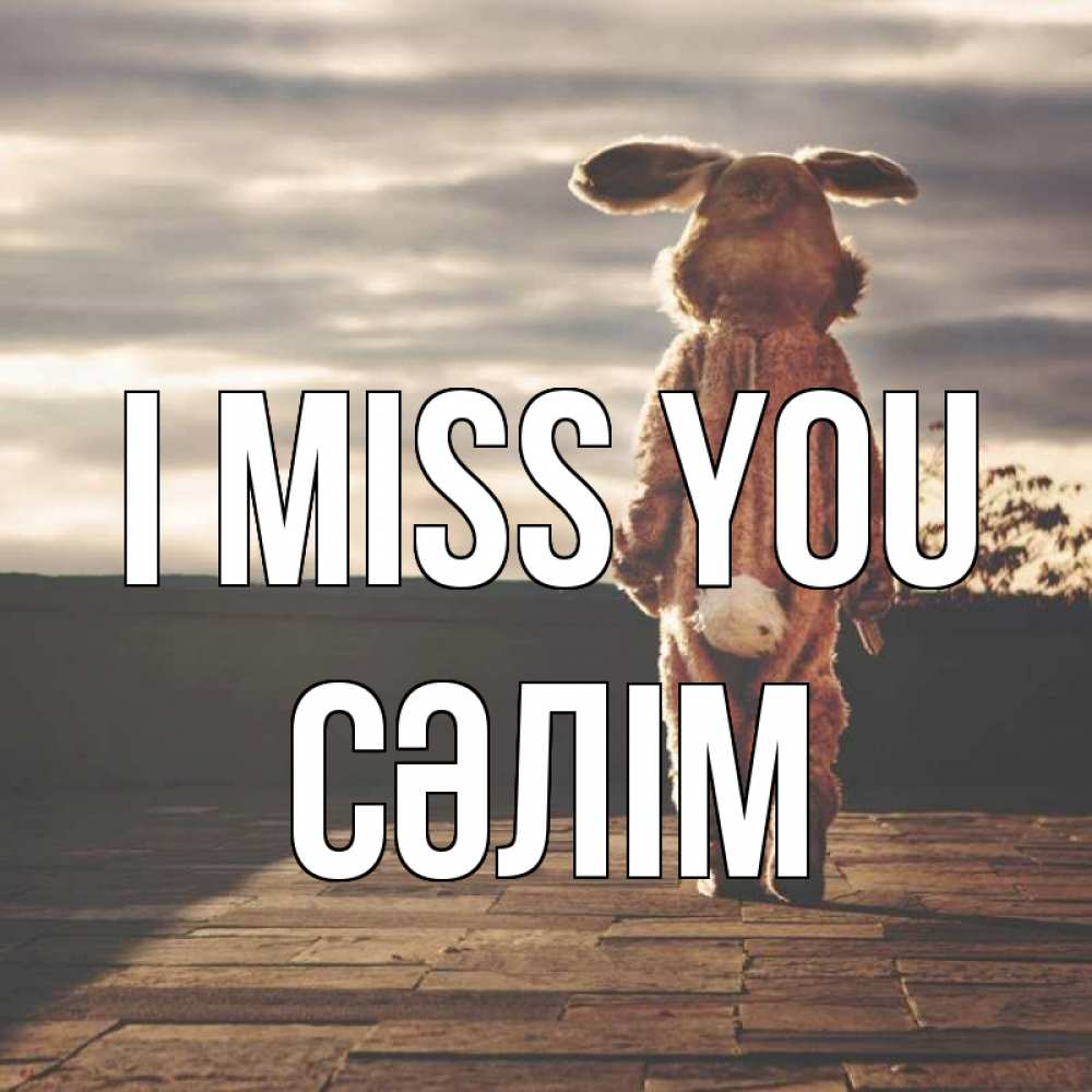 Greetings card с именем, СӘЛІМ I miss you даже в костюме зайца Greetings with text for free download 