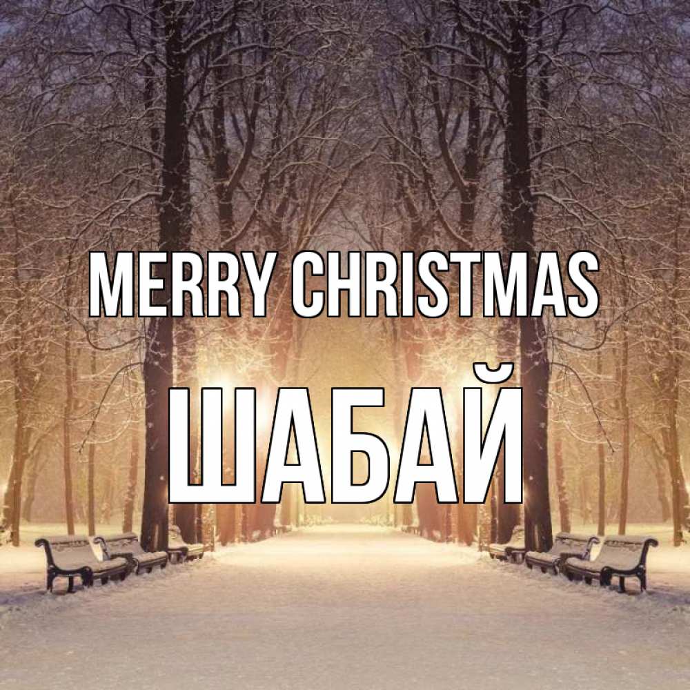 Greetings card с именем, ШАБАЙ Merry Christmas зима, парк, фонарь, лес Greetings with text for free download 