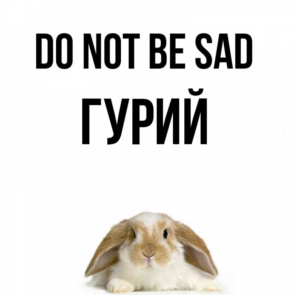 Greetings card с именем, Гурий Do not be sad коричнево белый заяц с большими ушками Greetings with text for free download 