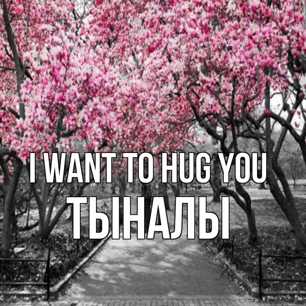 Greetings card с именем, ТЫНАЛЫ I want to hug you обработанное фото Greetings with text for free download 