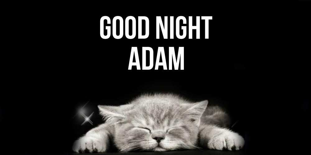 Greetings card с именем, Adam Good night спящий котик Greetings with text for free download 