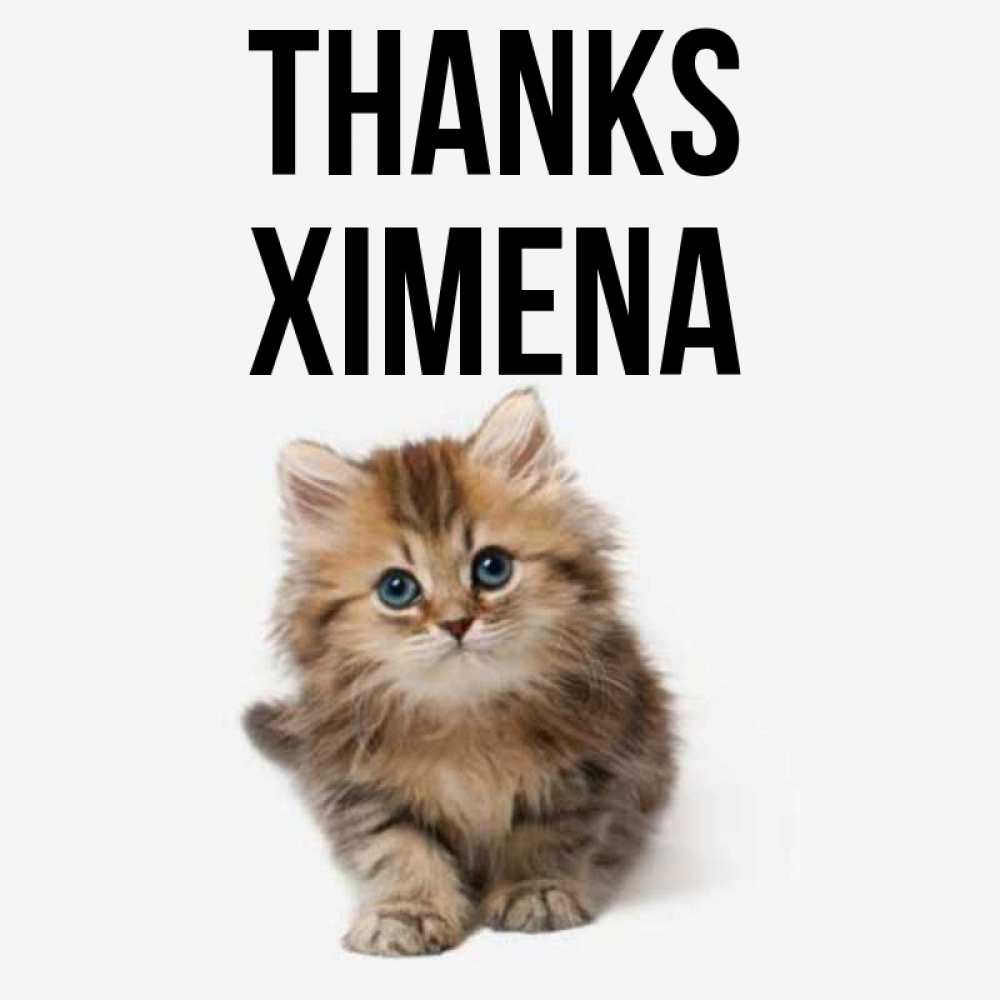 Greetings card с именем, Ximena Thanks пушистый котик Greetings with text for free download 