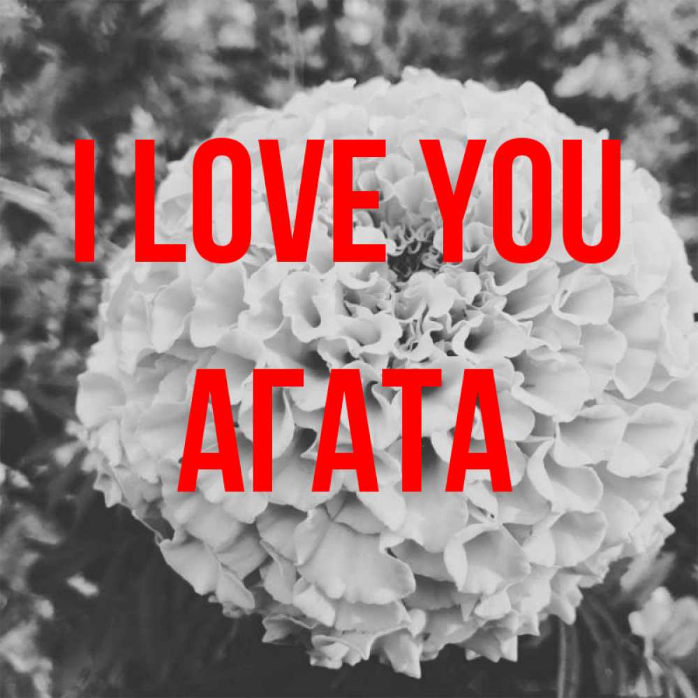 Greetings card с именем, Агата I love you подпись Greetings with text for free download 