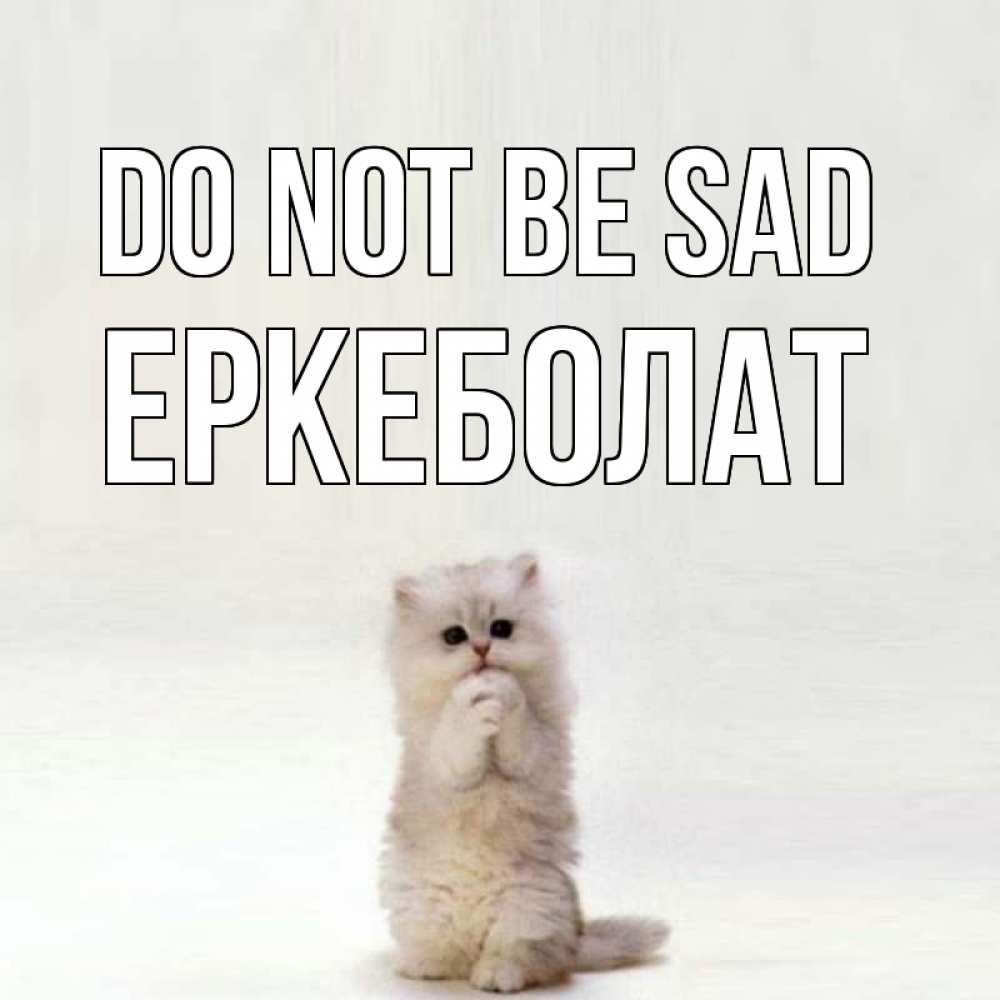 Greetings card с именем, Еркеболат Do not be sad грустный кот Greetings with text for free download 