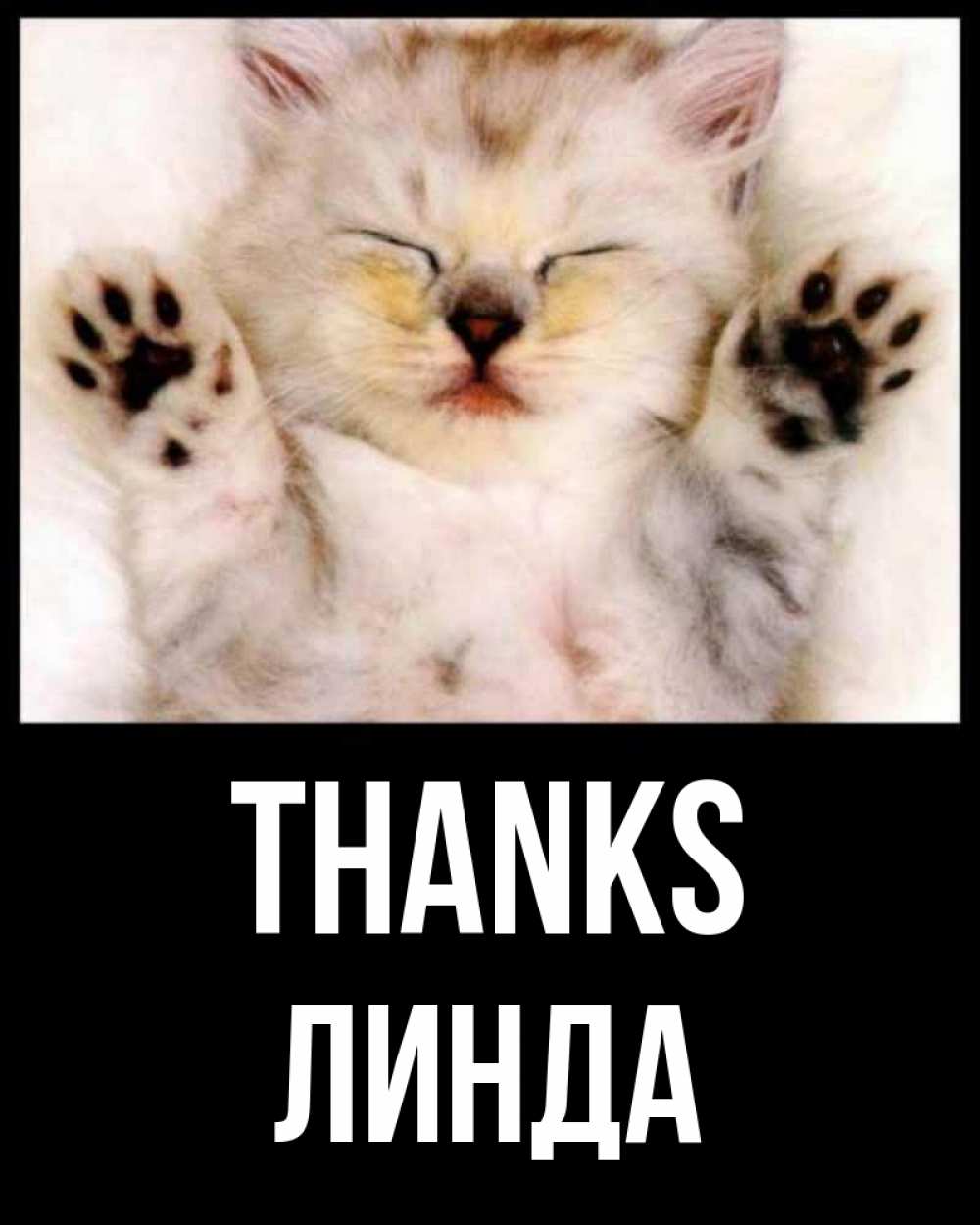 Greetings card с именем, Линда Thanks маленький котенок Greetings with text for free download 