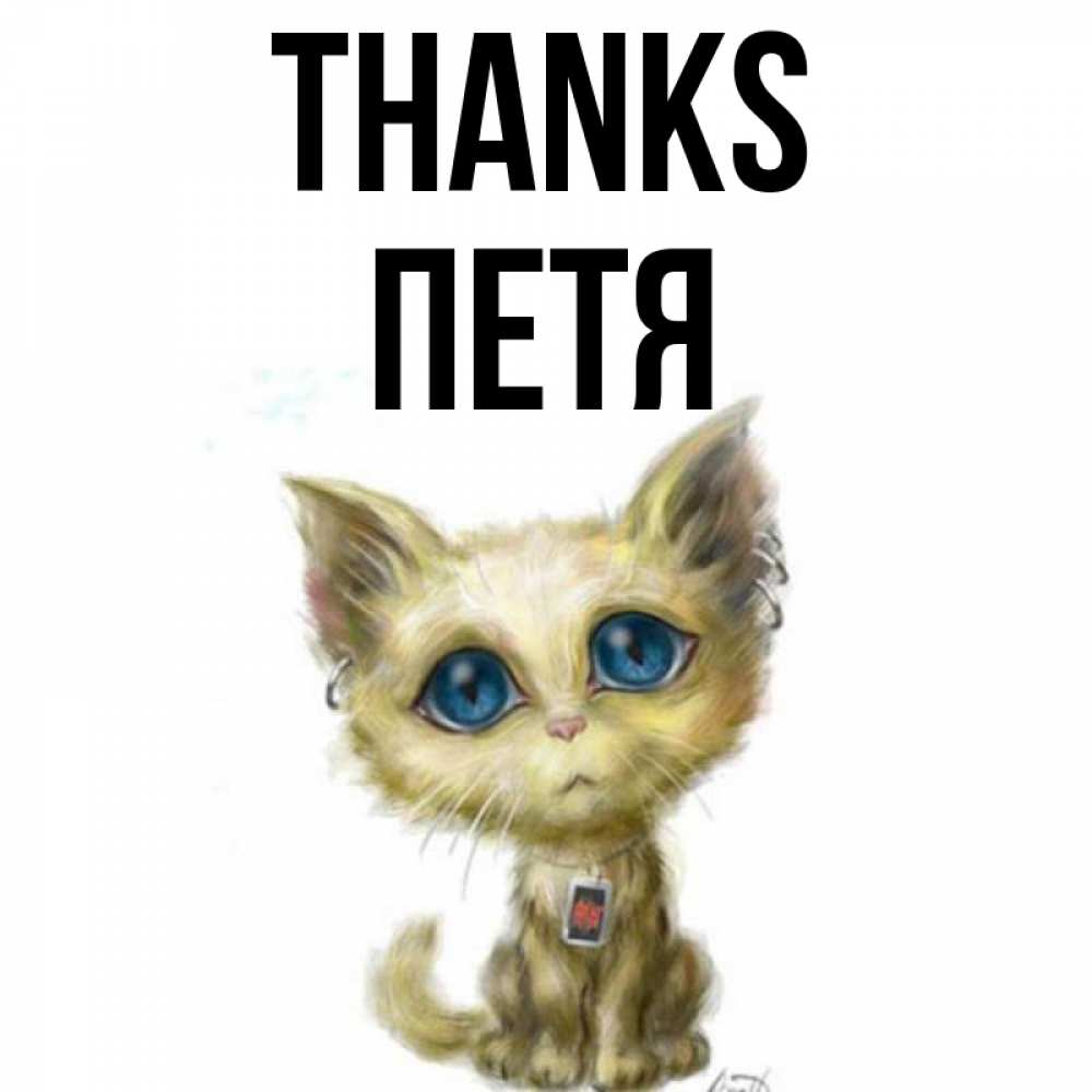 Greetings card с именем, Петя Thanks рисованный кот благодарит вас Greetings with text for free download 
