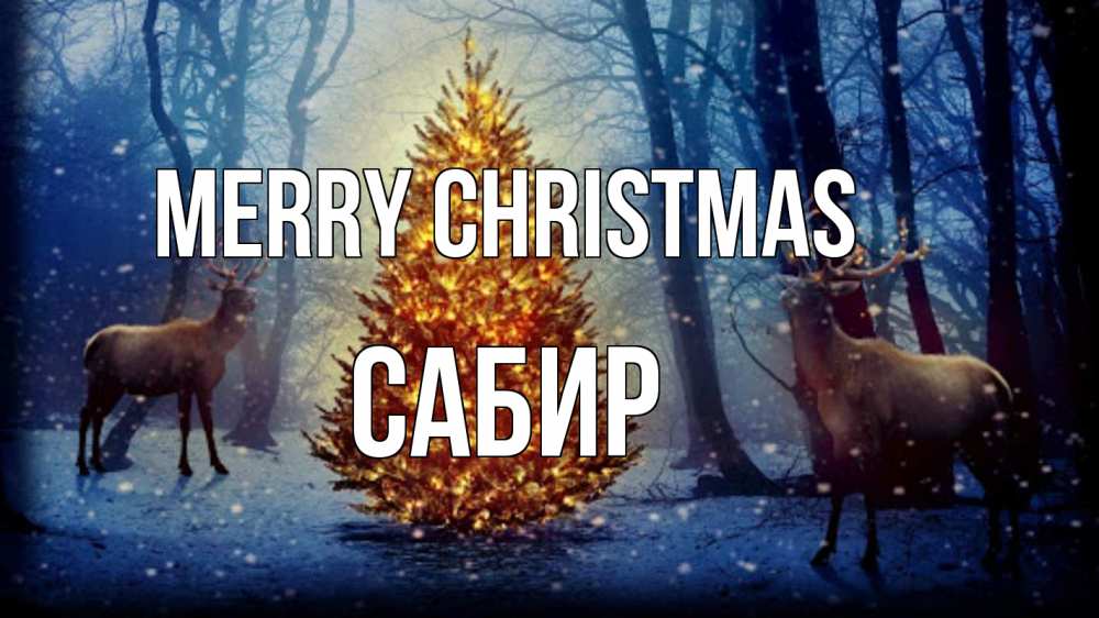 Greetings card с именем, Сабир Merry Christmas олени, новогодняя елка Greetings with text for free download 