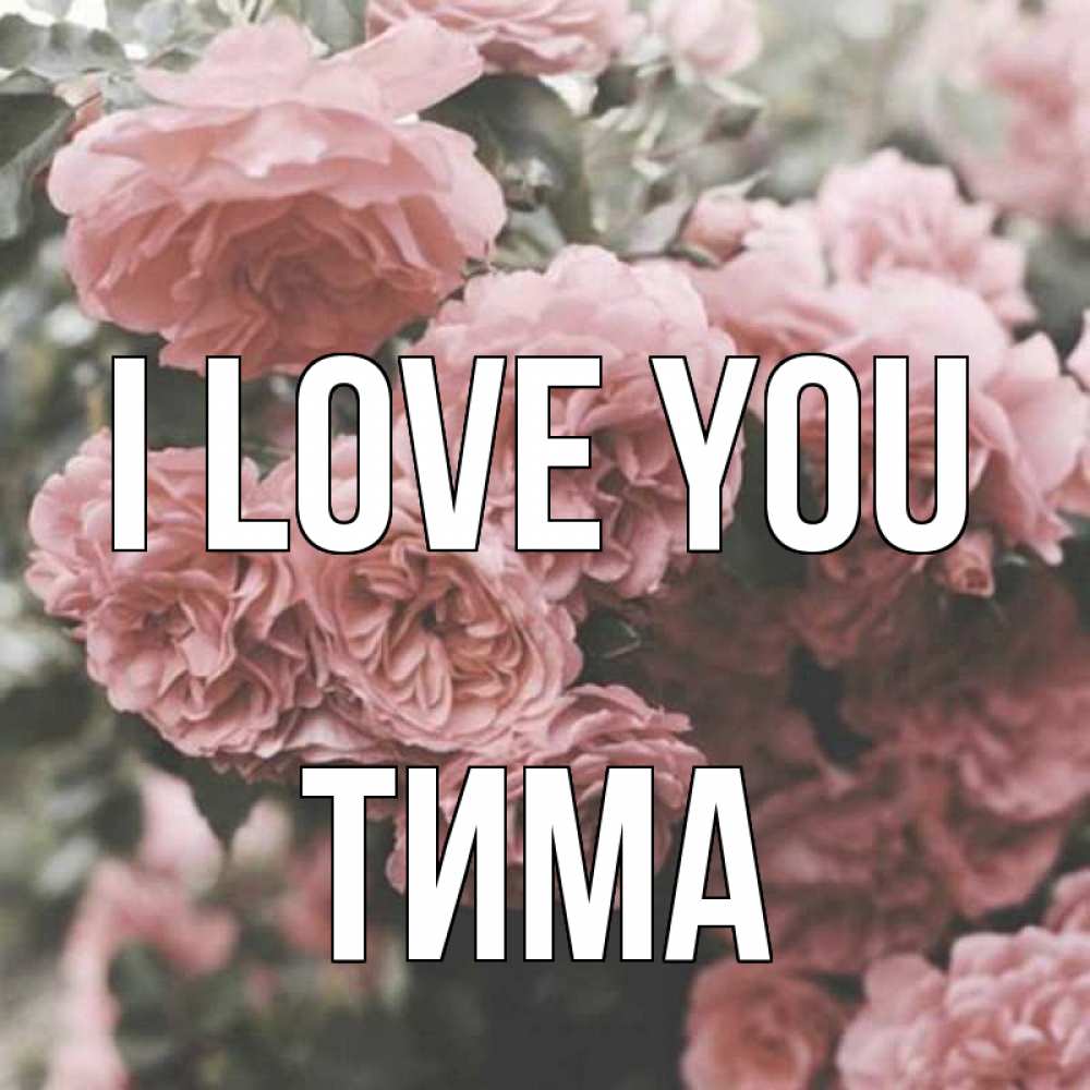 Greetings card с именем, Тима I love you розы 3 Greetings with text for free download 
