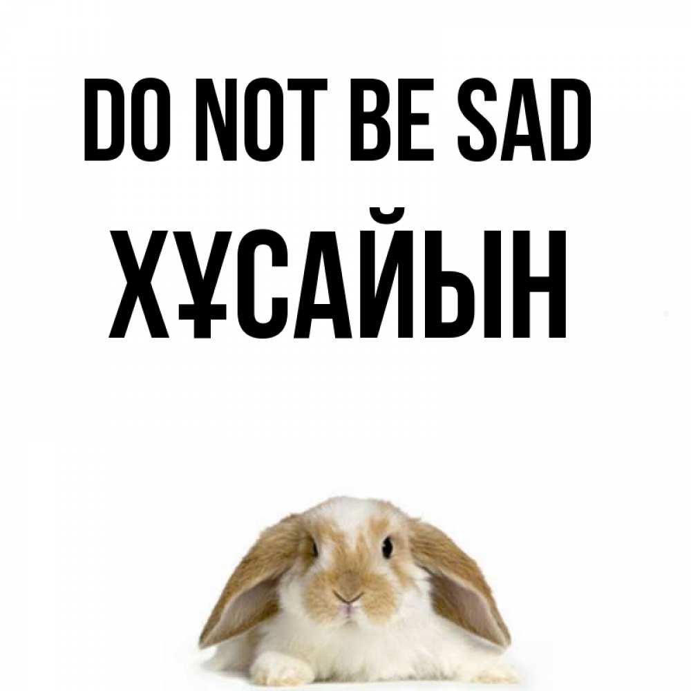 Greetings card с именем, ХҰСАЙЫН Do not be sad коричнево белый заяц с большими ушками Greetings with text for free download 