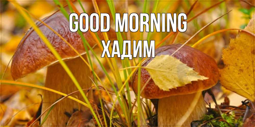 Greetings card с именем, ХАДИМ Good morning осенние грибы Greetings with text for free download 