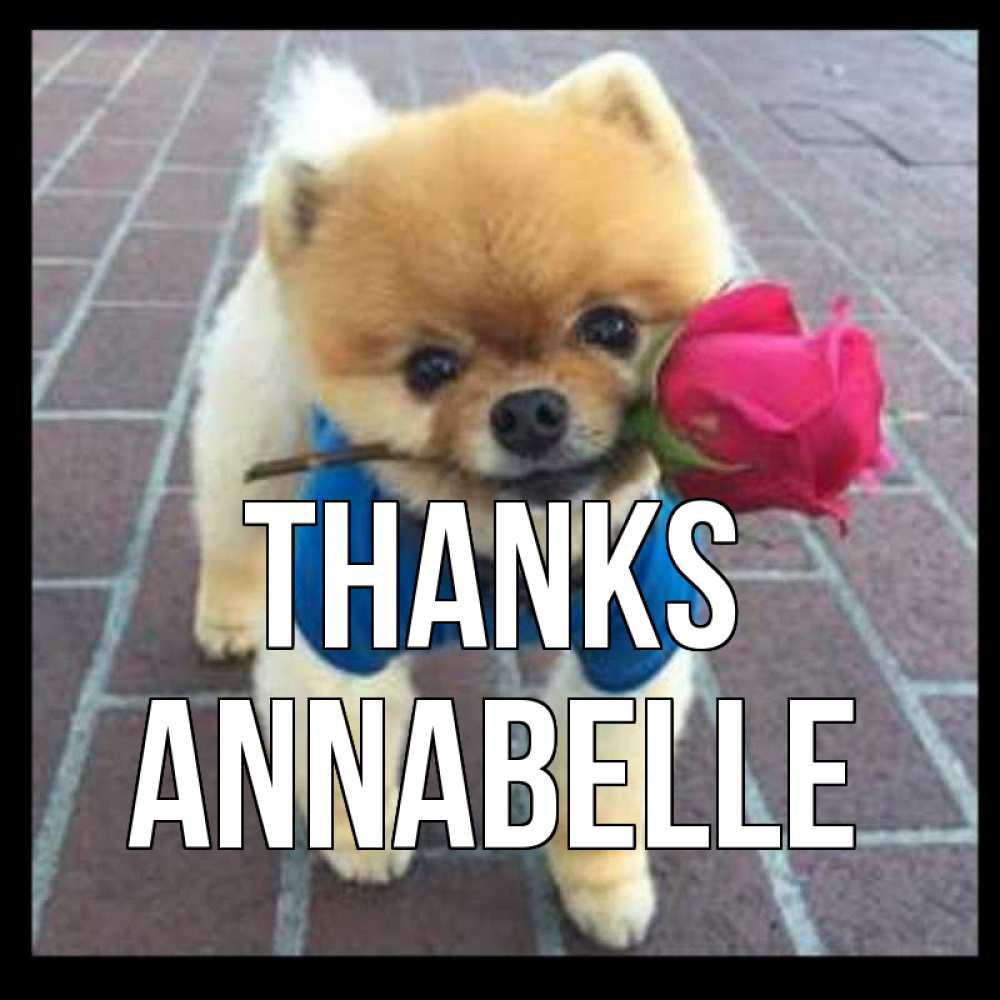 Greetings card с именем, Annabelle Thanks спасибо и дарю тебе цветок Greetings with text for free download 