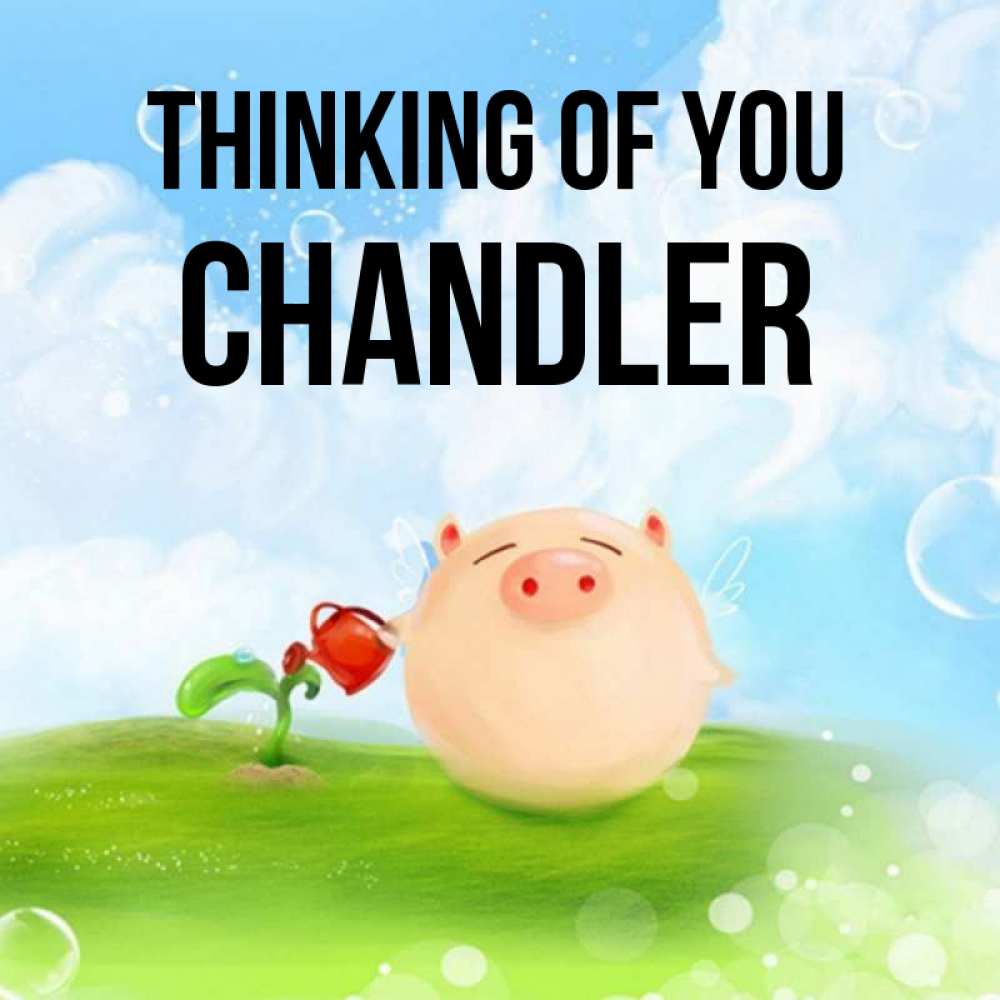 Greetings card с именем, Chandler Thinking of you позитивная свинюшка Greetings with text for free download 
