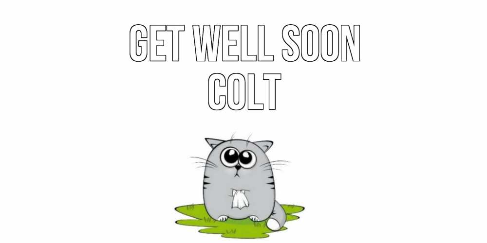 Greetings card с именем, Colt Get well soon кот и открытки про выздоровление Greetings with text for free download 