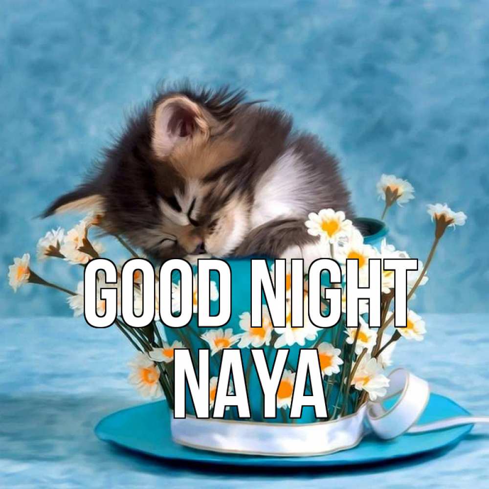 Greetings card с именем, Naya Good night котенок спит в кружке с блюдцем Greetings with text for free download 