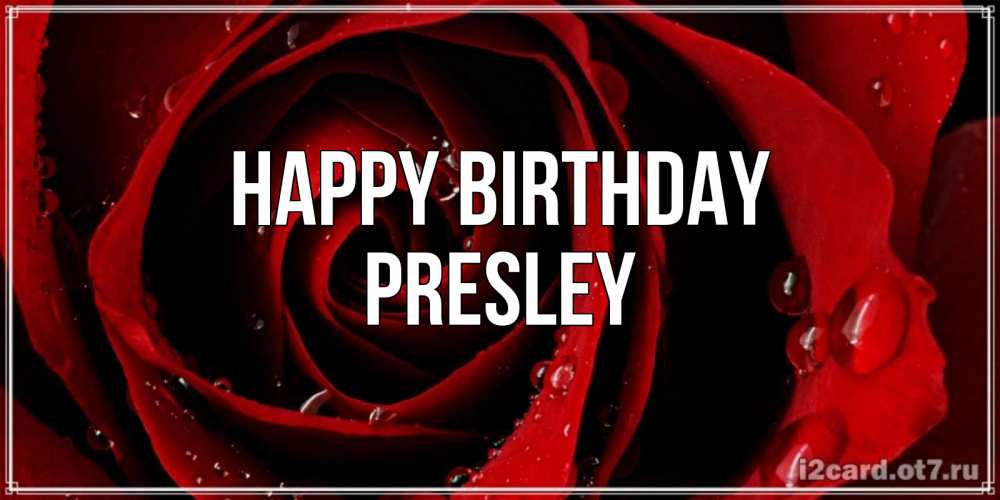 Greetings card с именем, Presley Happy Birthday крупная бордовая роза Greetings with text for free download 