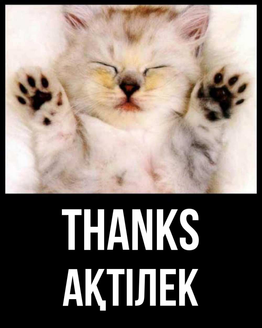 Greetings card с именем, Ақтілек Thanks маленький котенок Greetings with text for free download 