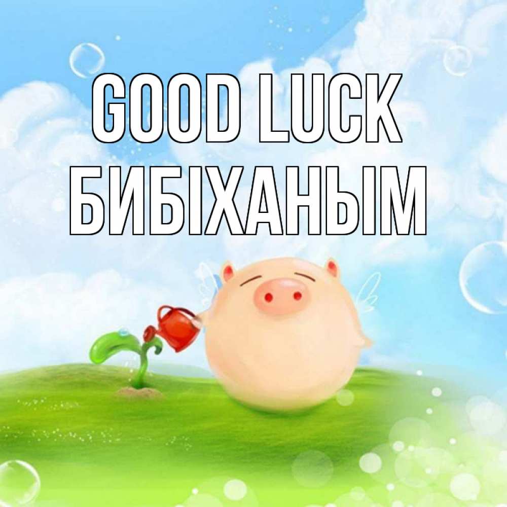 Greetings card с именем, БИБІХАНЫМ Good luck поросенок поливает цветок. летнее настроение Greetings with text for free download 