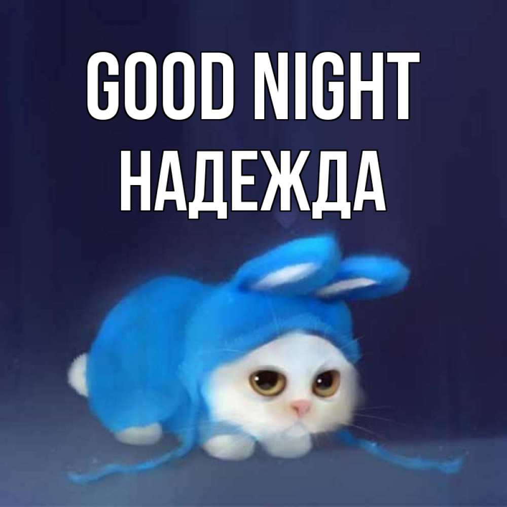 Greetings card с именем, Надежда Good night кот в голубом костюме кролика с ушками Greetings with text for free download 