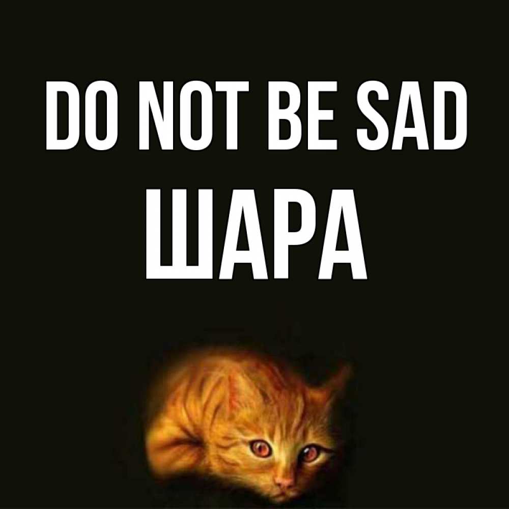 Greetings card с именем, ШАРА Do not be sad лежащий кот в темноте Greetings with text for free download 