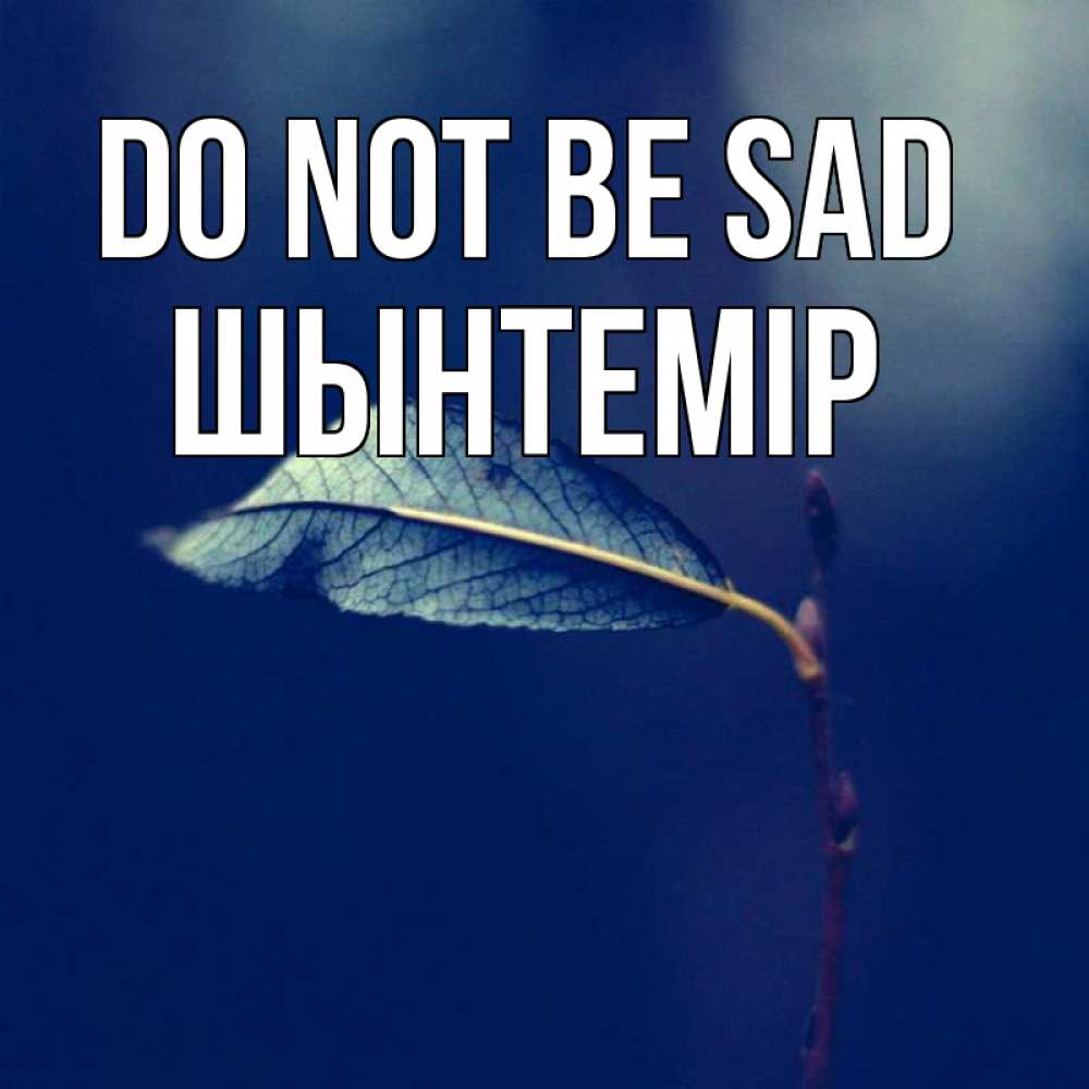 Greetings card с именем, ШЫНТЕМІР Do not be sad растение Greetings with text for free download 