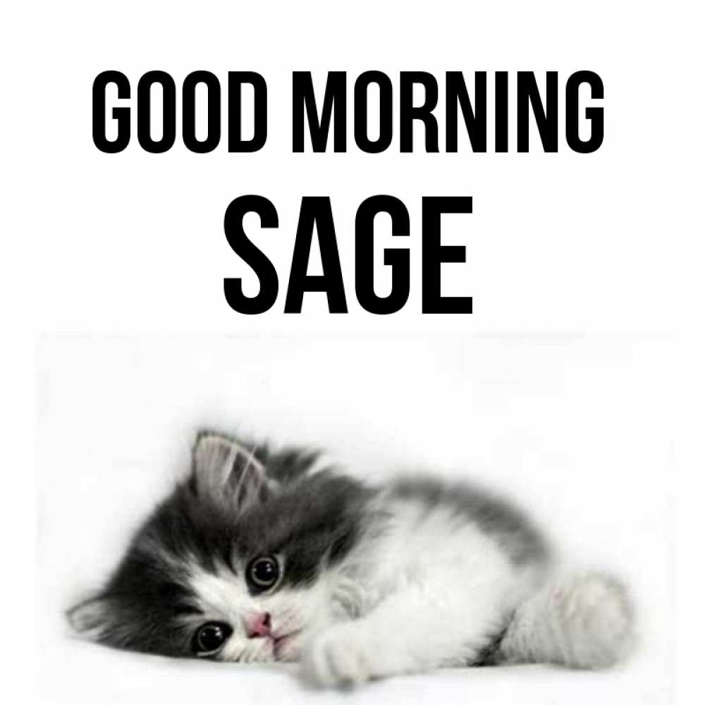 Greetings card с именем, Sage Good morning кот лапки Greetings with text for free download 
