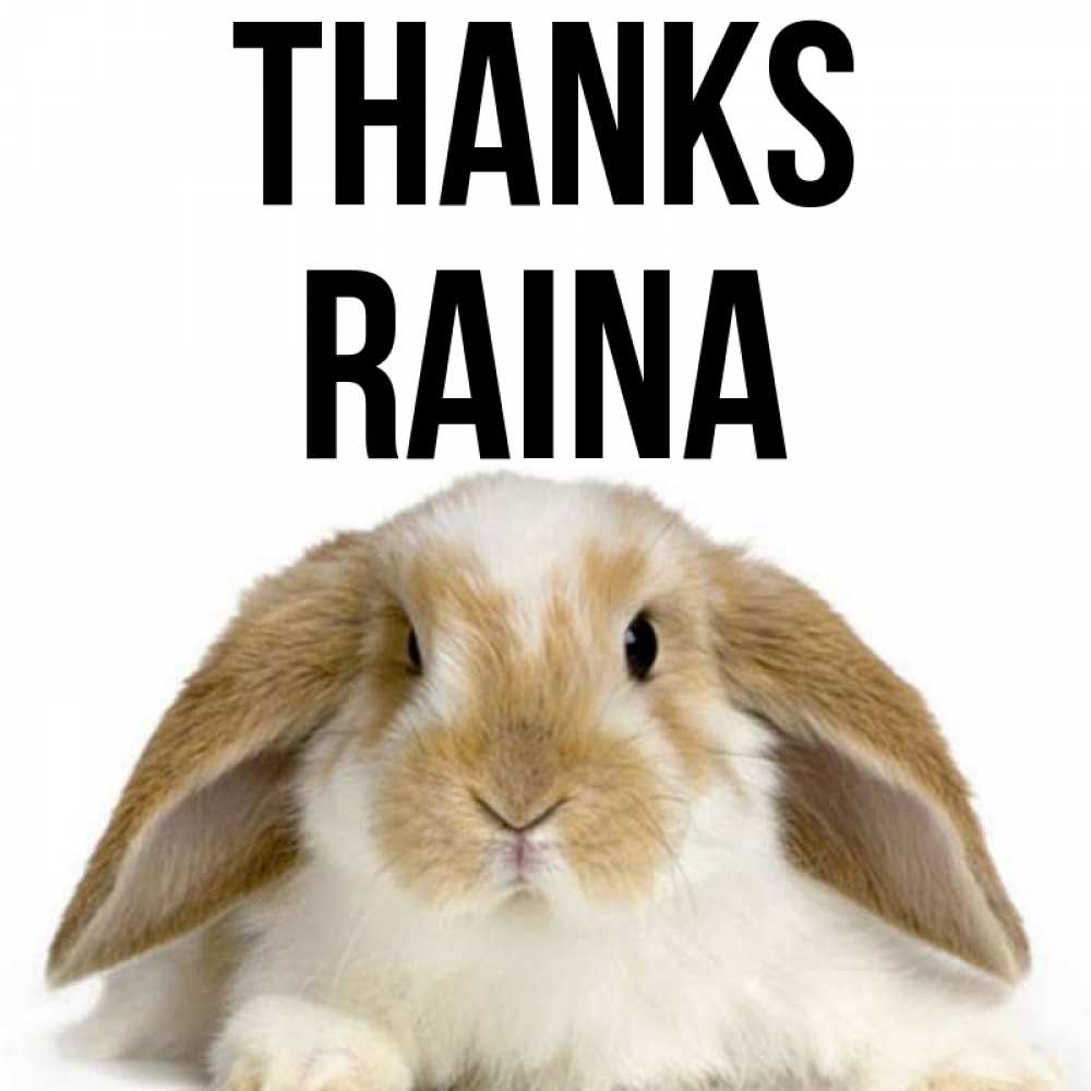 Greetings card с именем, Raina Thanks коричнево белый заяц Greetings with text for free download 