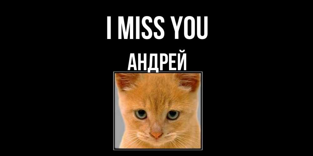 Greetings card с именем, Андрей I miss you открытки рыжий котенок скучает по тебе Greetings with text for free download 